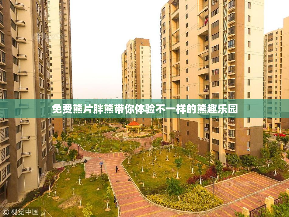 免费熊片胖熊带你体验不一样的熊趣乐园