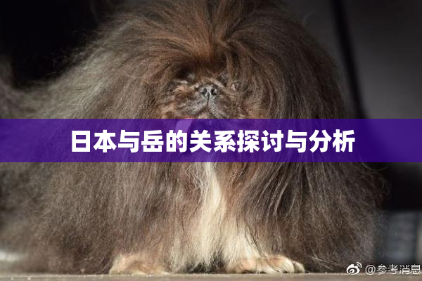 日本与岳的关系探讨与分析