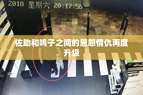佐助和鸣子之间的恩怨情仇再度升级