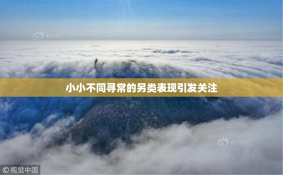 小小不同寻常的另类表现引发关注