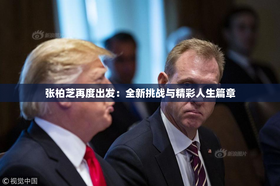 张柏芝再度出发：全新挑战与精彩人生篇章