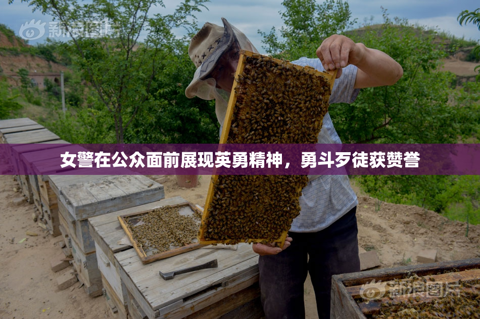 女警在公众面前展现英勇精神，勇斗歹徒获赞誉