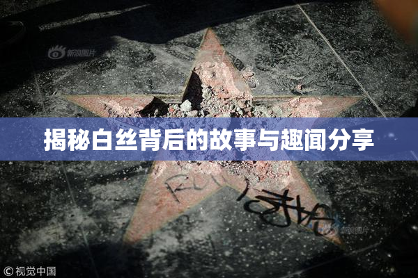 揭秘白丝背后的故事与趣闻分享
