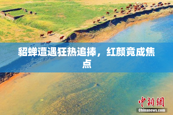 貂蝉遭遇狂热追捧，红颜竟成焦点