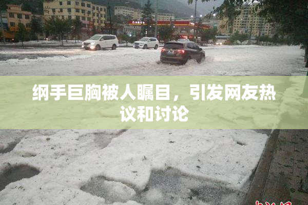 纲手巨胸被人瞩目，引发网友热议和讨论