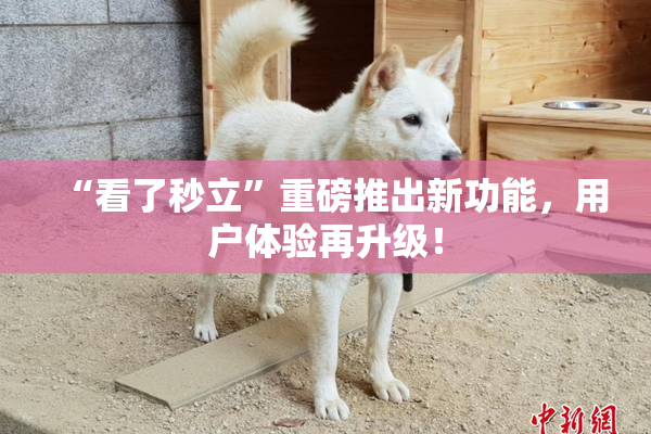 “看了秒立”重磅推出新功能，用户体验再升级！