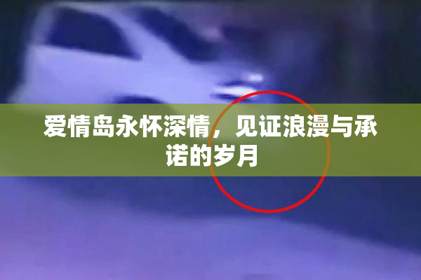 爱情岛永怀深情，见证浪漫与承诺的岁月