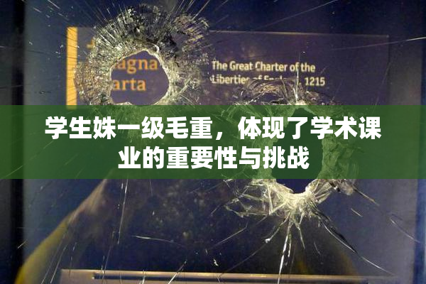 学生姝一级毛重，体现了学术课业的重要性与挑战