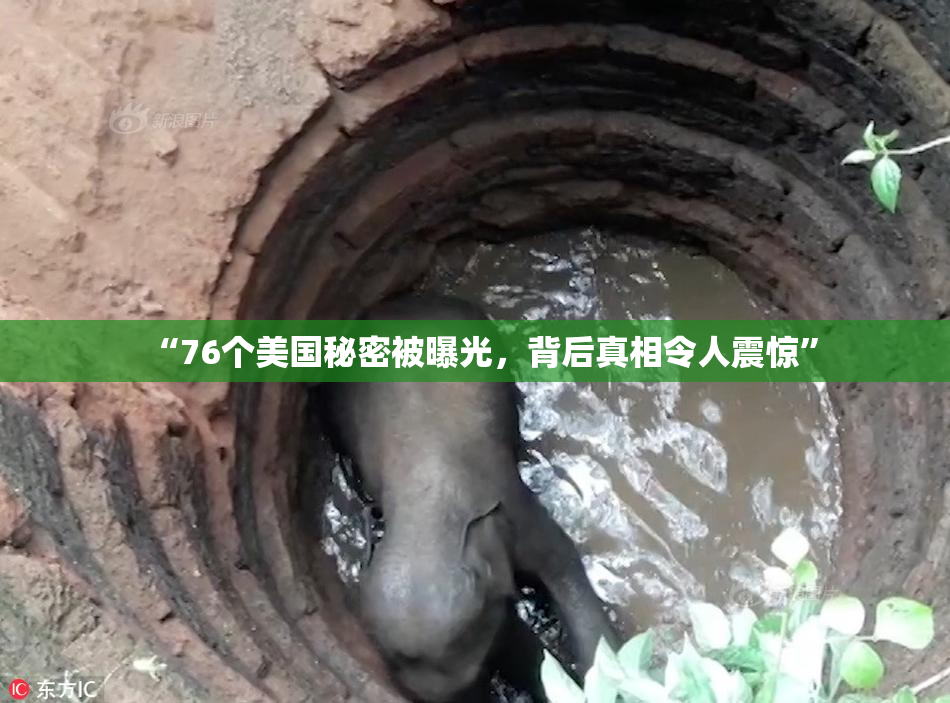 “76个美国秘密被曝光，背后真相令人震惊”