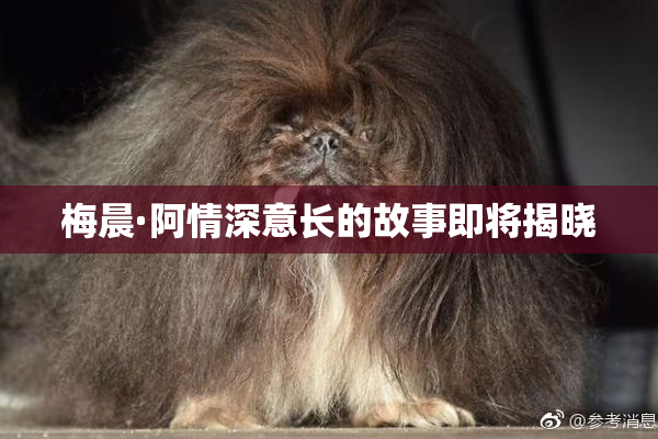 梅晨·阿情深意长的故事即将揭晓