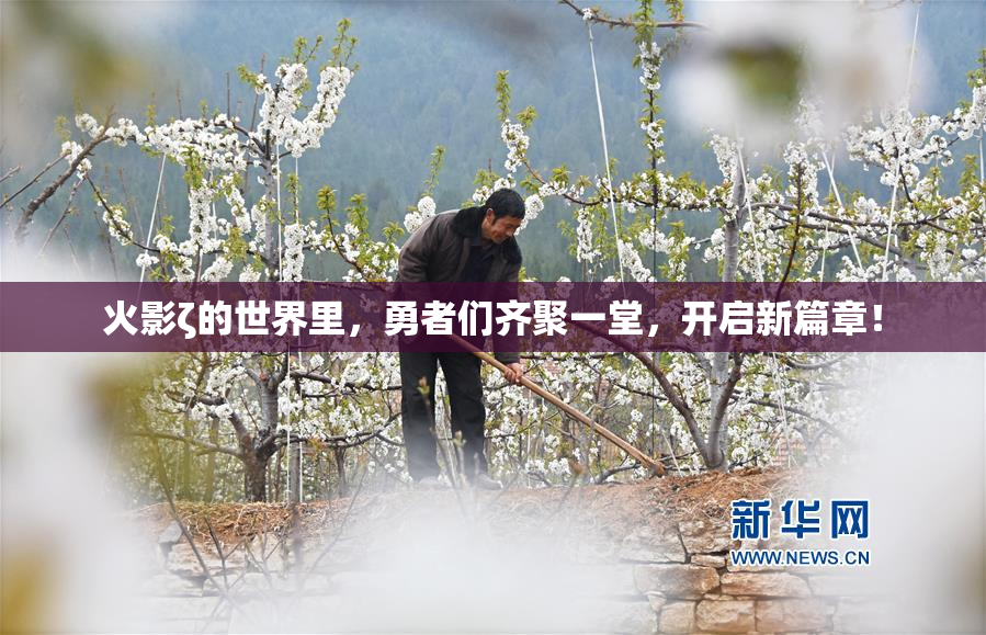 火影ζ的世界里，勇者们齐聚一堂，开启新篇章！