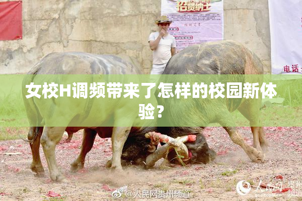 女校H调频带来了怎样的校园新体验？