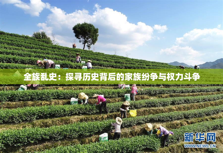 全族乱史：探寻历史背后的家族纷争与权力斗争