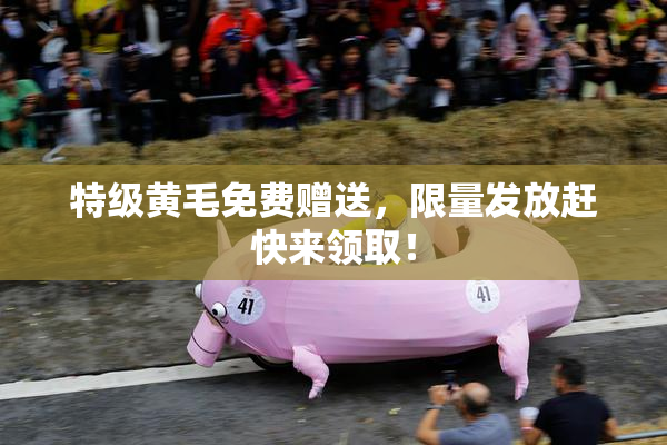 特级黄毛免费赠送，限量发放赶快来领取！