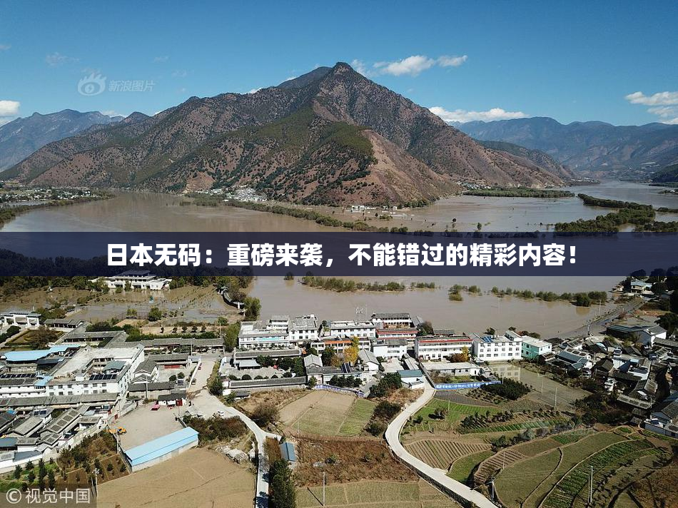 日本无码：重磅来袭，不能错过的精彩内容！
