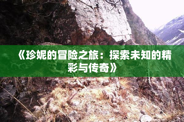 《珍妮的冒险之旅：探索未知的精彩与传奇》