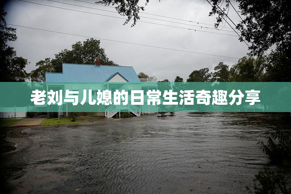 老刘与儿媳的日常生活奇趣分享