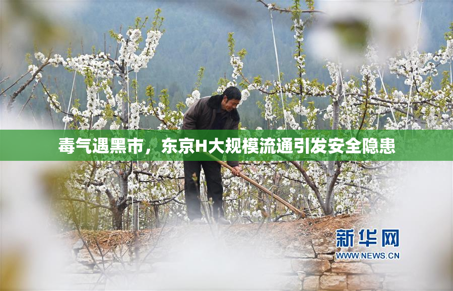 毒气遇黑市，东京H大规模流通引发安全隐患