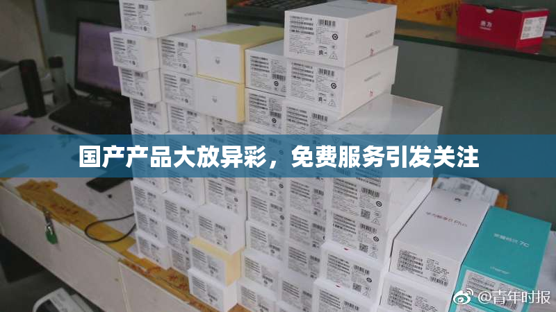 国产产品大放异彩，免费服务引发关注