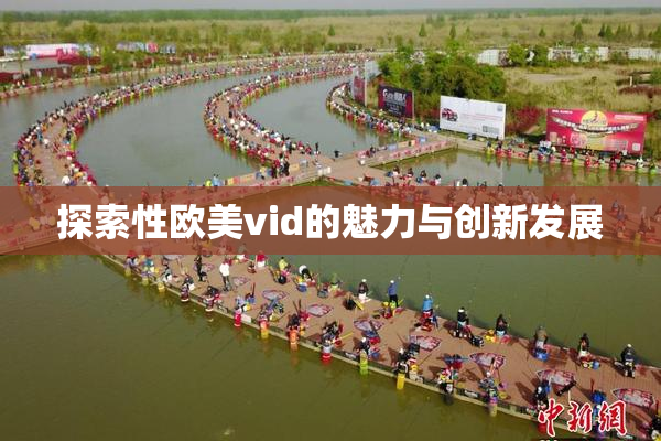 探索性欧美vid的魅力与创新发展