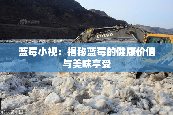 蓝莓小视：揭秘蓝莓的健康价值与美味享受