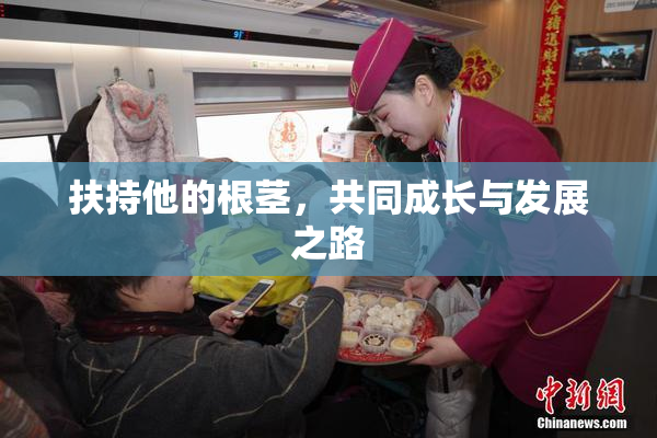 扶持他的根茎，共同成长与发展之路