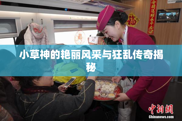 小草神的艳丽风采与狂乱传奇揭秘