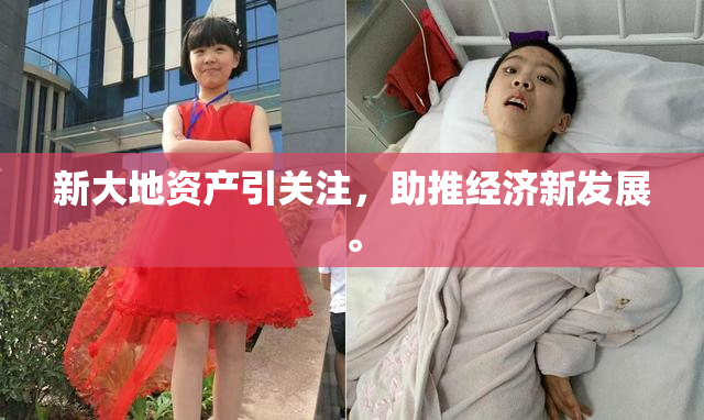 新大地资产引关注，助推经济新发展。