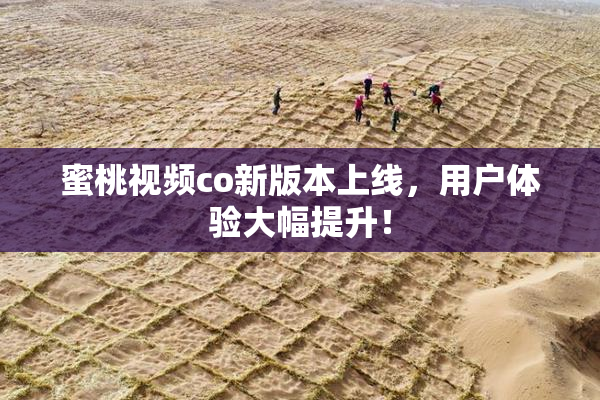 蜜桃视频co新版本上线，用户体验大幅提升！
