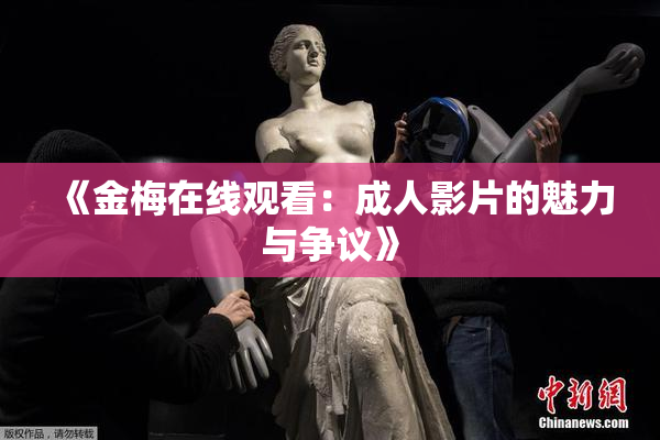 《金梅在线观看：成人影片的魅力与争议》