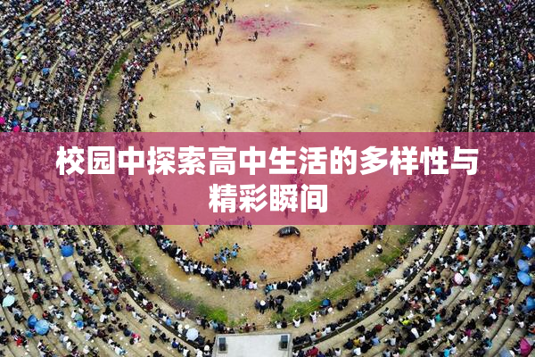 校园中探索高中生活的多样性与精彩瞬间