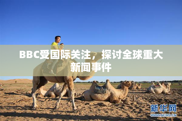 BBC受国际关注，探讨全球重大新闻事件