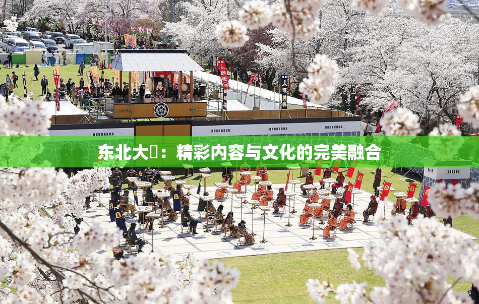东北大鷄：精彩内容与文化的完美融合