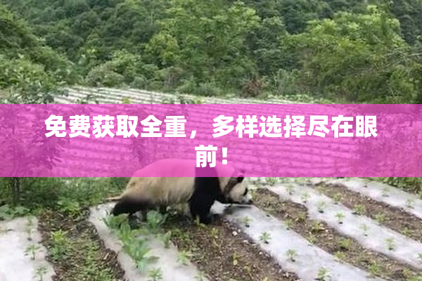 免费获取全重，多样选择尽在眼前！