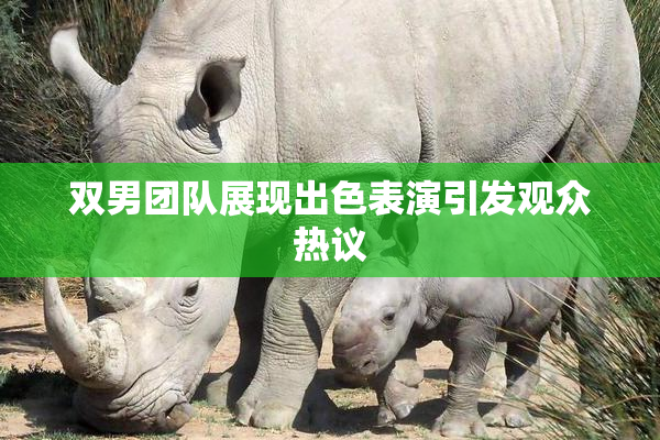 双男团队展现出色表演引发观众热议