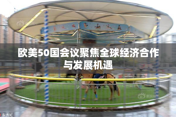 欧美50国会议聚焦全球经济合作与发展机遇