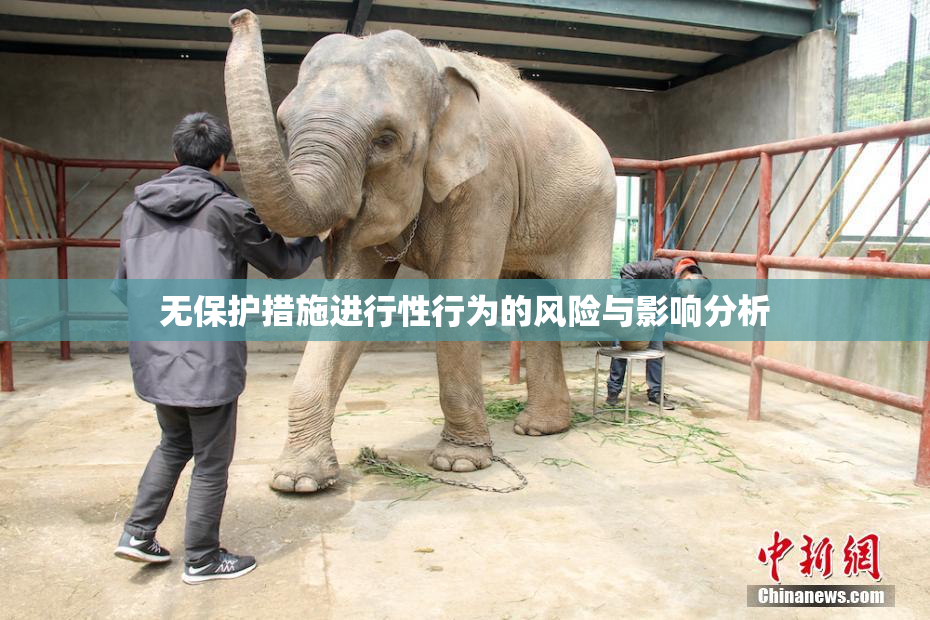 无保护措施进行性行为的风险与影响分析