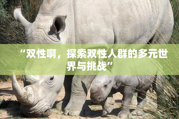 “双性啊，探索双性人群的多元世界与挑战”