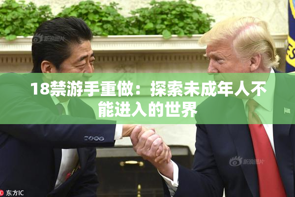 18禁游手重做：探索未成年人不能进入的世界