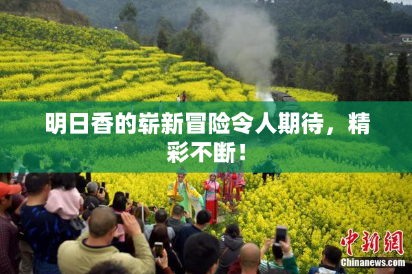 明日香的崭新冒险令人期待，精彩不断！