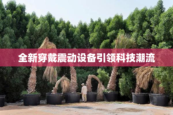 全新穿戴震动设备引领科技潮流