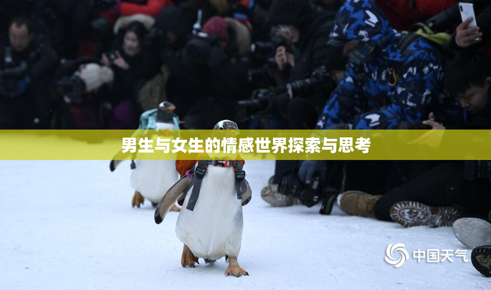 男生与女生的情感世界探索与思考