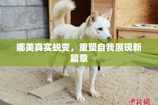 娜美真实蜕变，重塑自我展现新篇章