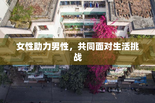 女性助力男性，共同面对生活挑战