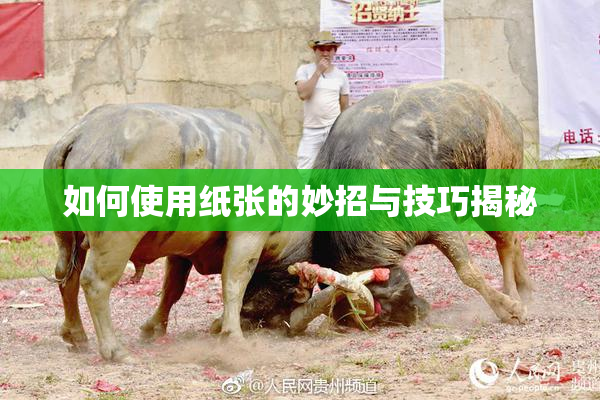 如何使用纸张的妙招与技巧揭秘