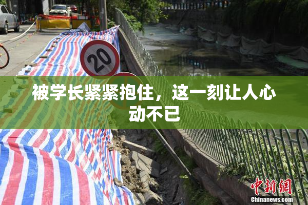 被学长紧紧抱住，这一刻让人心动不已