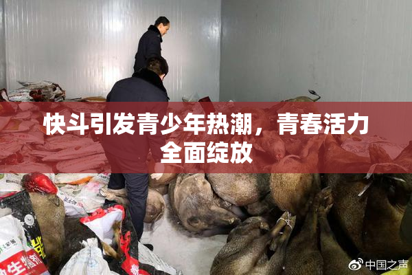 快斗引发青少年热潮，青春活力全面绽放