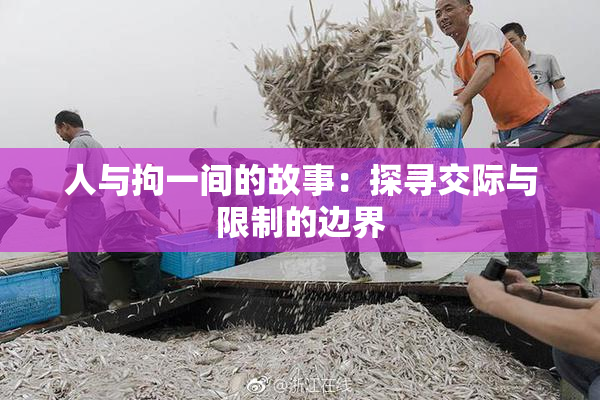 人与拘一间的故事：探寻交际与限制的边界