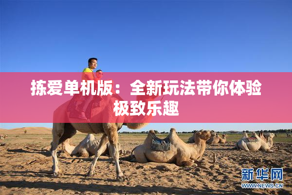 拣爱单机版：全新玩法带你体验极致乐趣