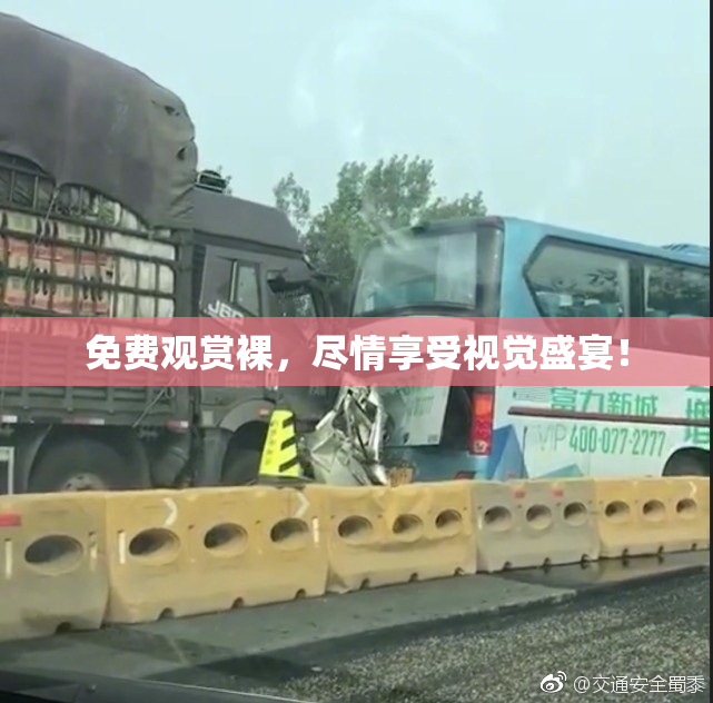 免费观赏裸，尽情享受视觉盛宴！